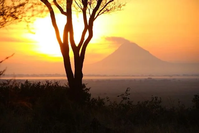 🌅 GOLDEN HOUR IN TANZANIA 🌅