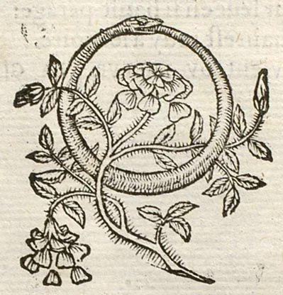 e4541f79e89ee950bd08b5ec477f8bdd.jpg