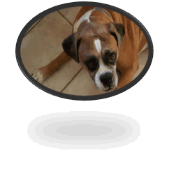 Image.gif