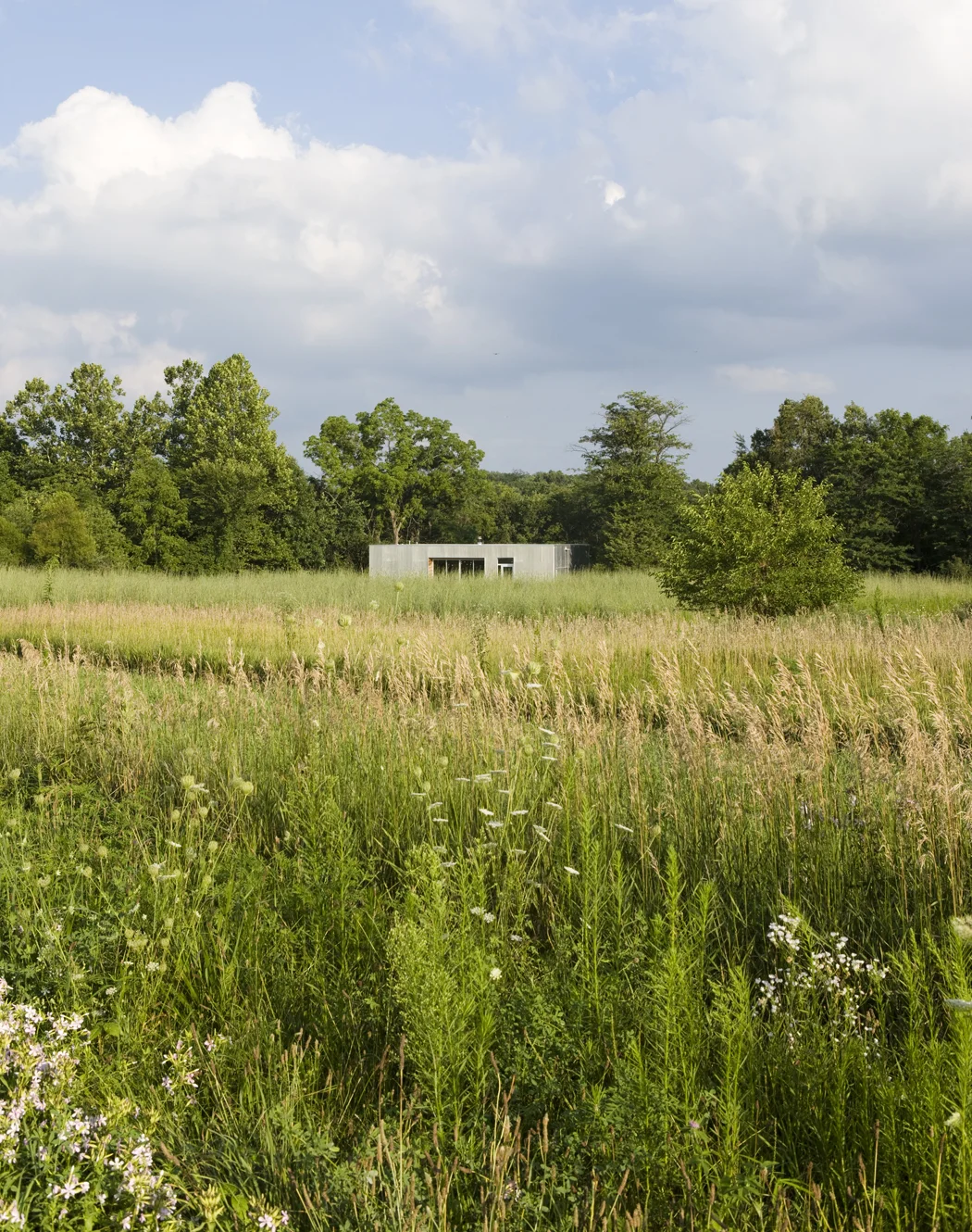 UrbanLab_Hennepin_201_photo_credit_Michelle_Litvin.jpg