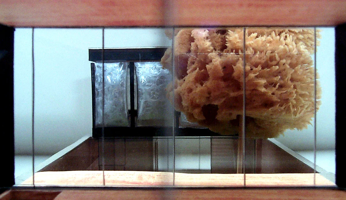 UrbanLab_May_Live_Work_100.jpg