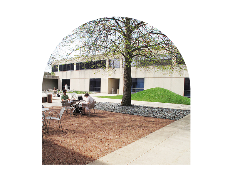Smart Museum Courtyard