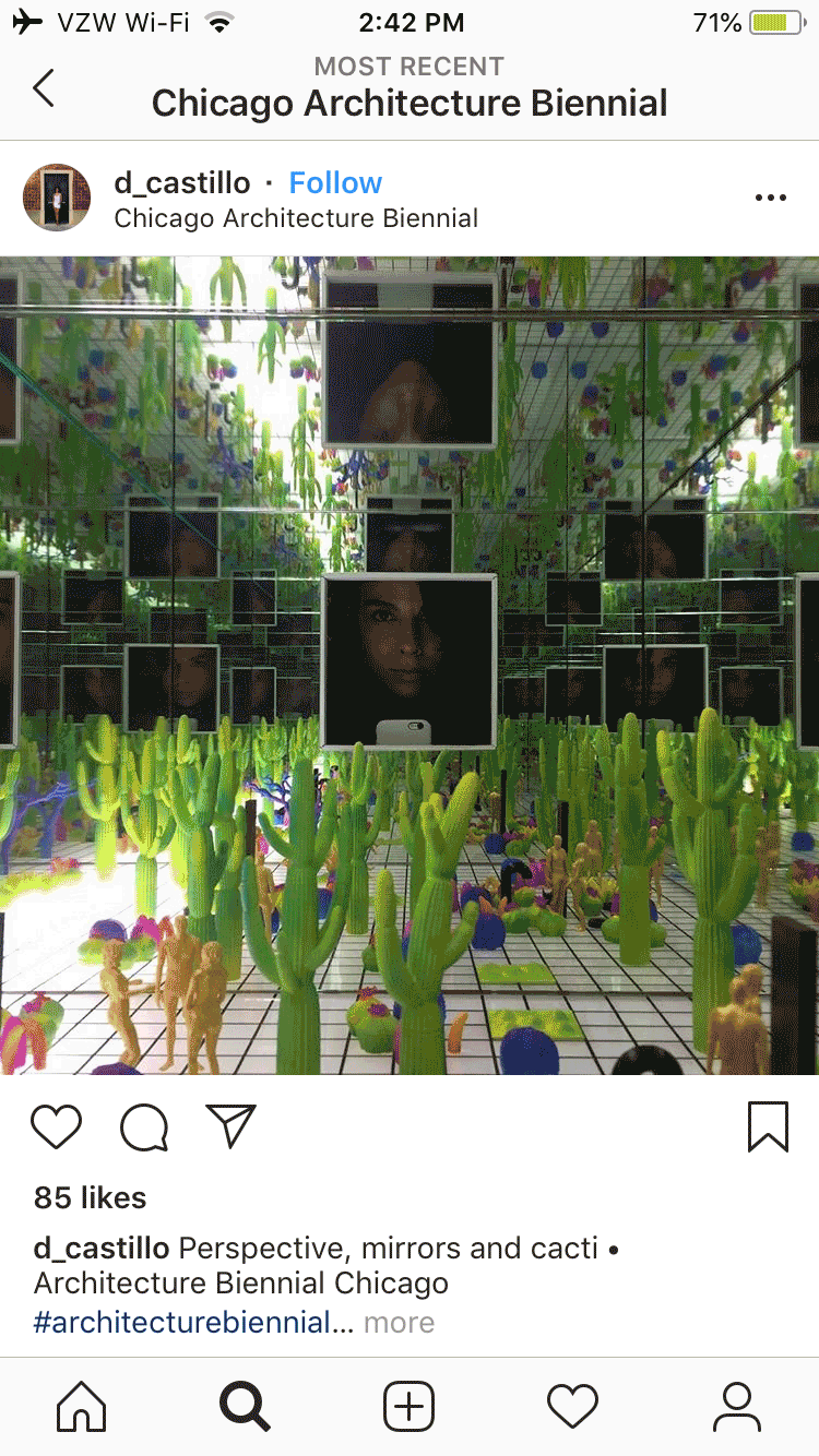 UrbanLab_Instagram_Posts_Chicago_Biennial_17_only_selfies_gif.gif