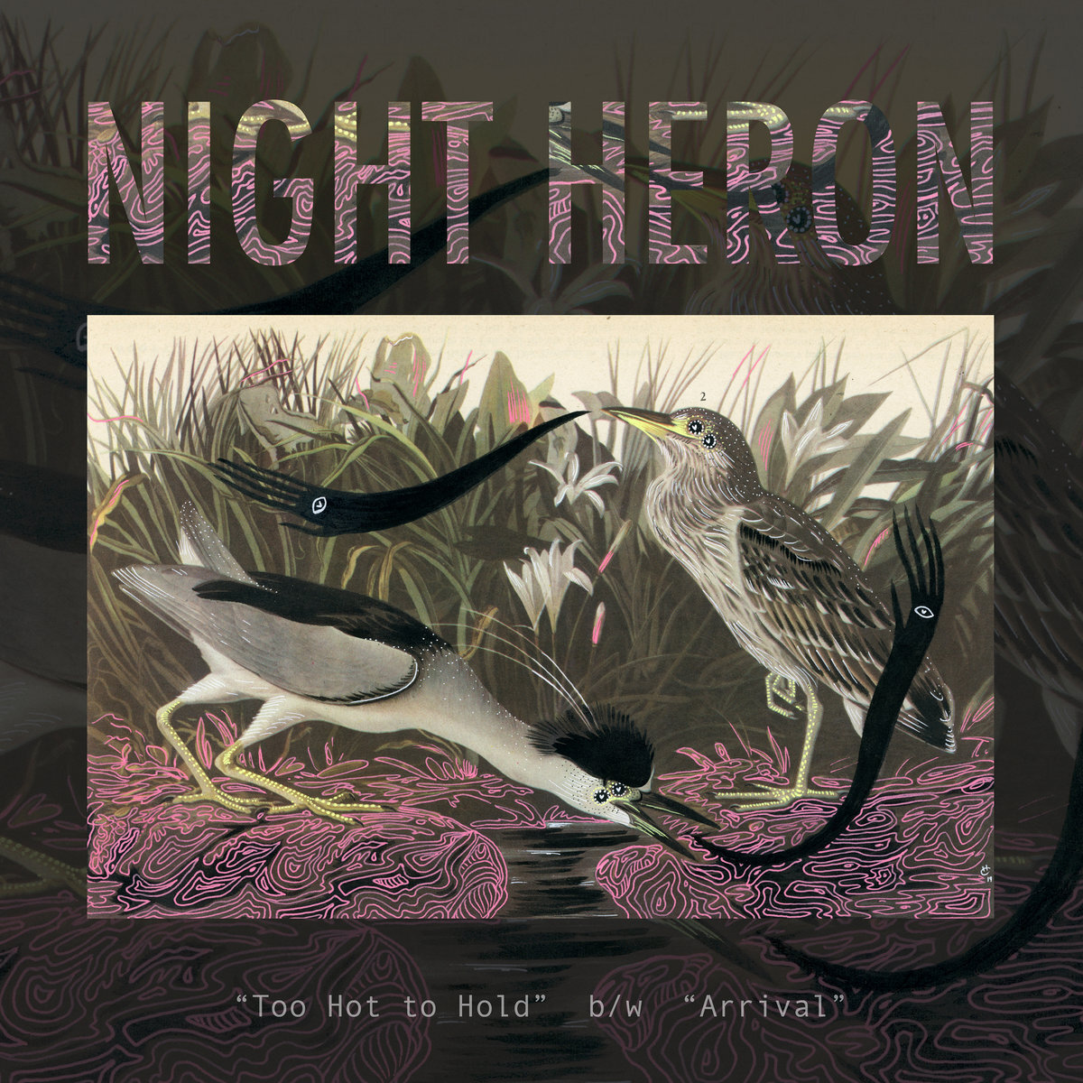 * Night Heron - Too Hot To Hold w/ Arrival