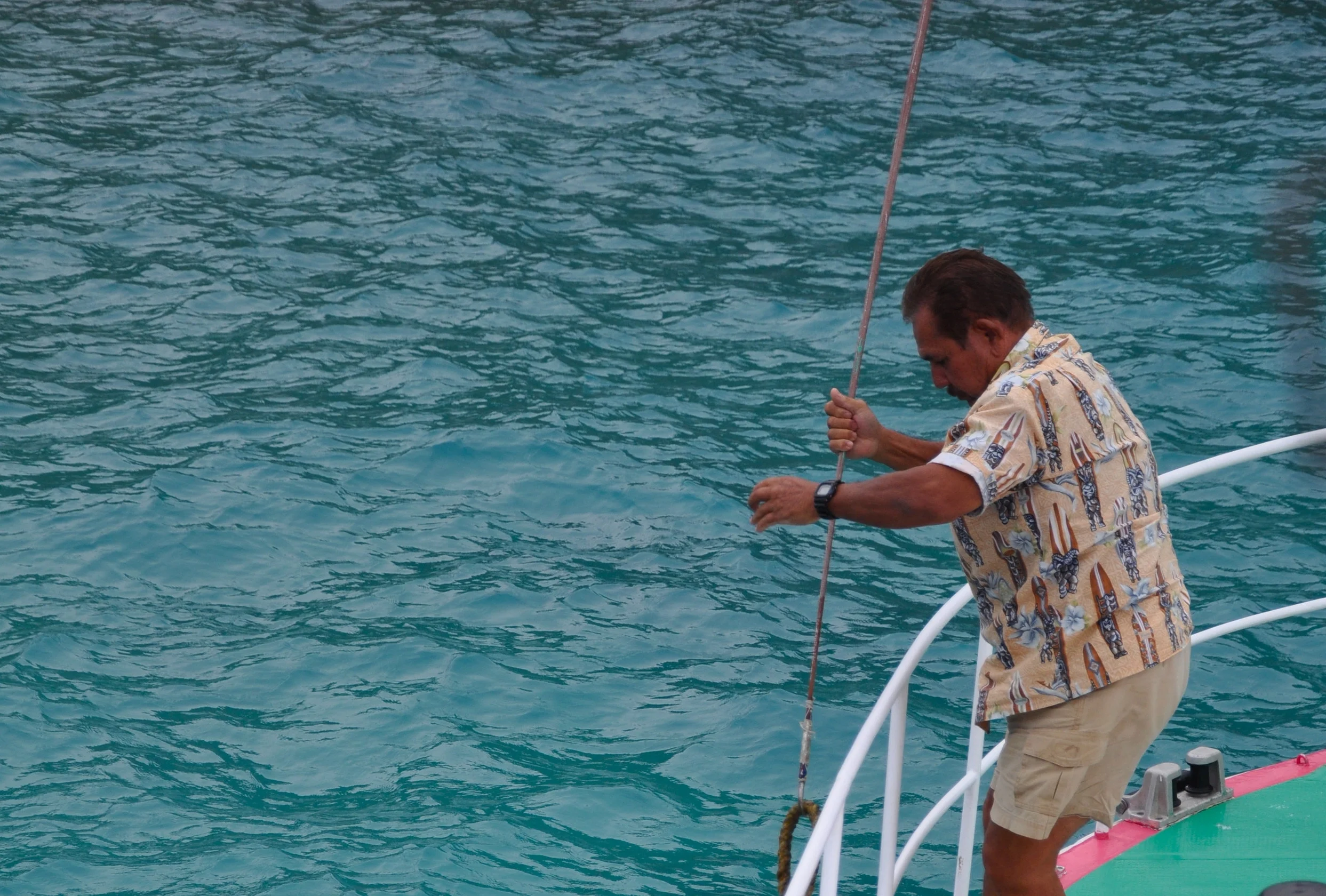 2010.3 Ogasawara_00000755.jpg