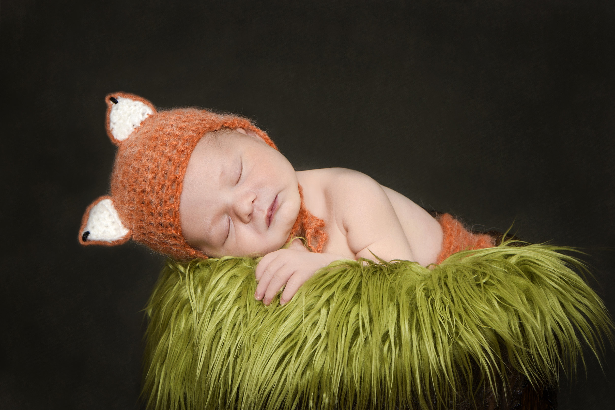 Newborn Fox.jpg