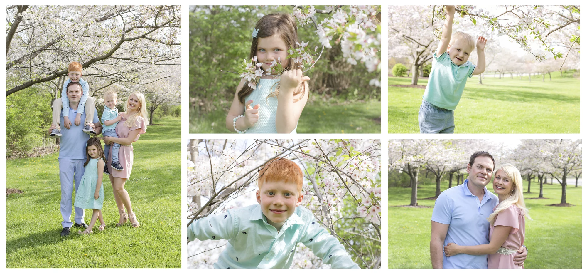 cherry blossoms family.jpg