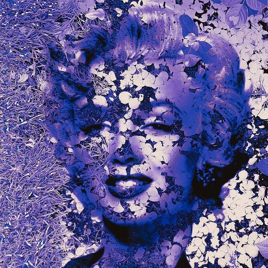  pastel and acrylic on photo, 15X15 