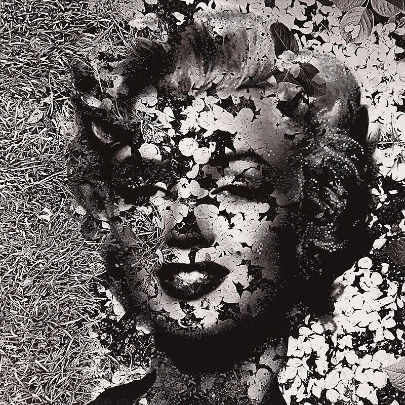 Homage to Andy 1 (August 2019)