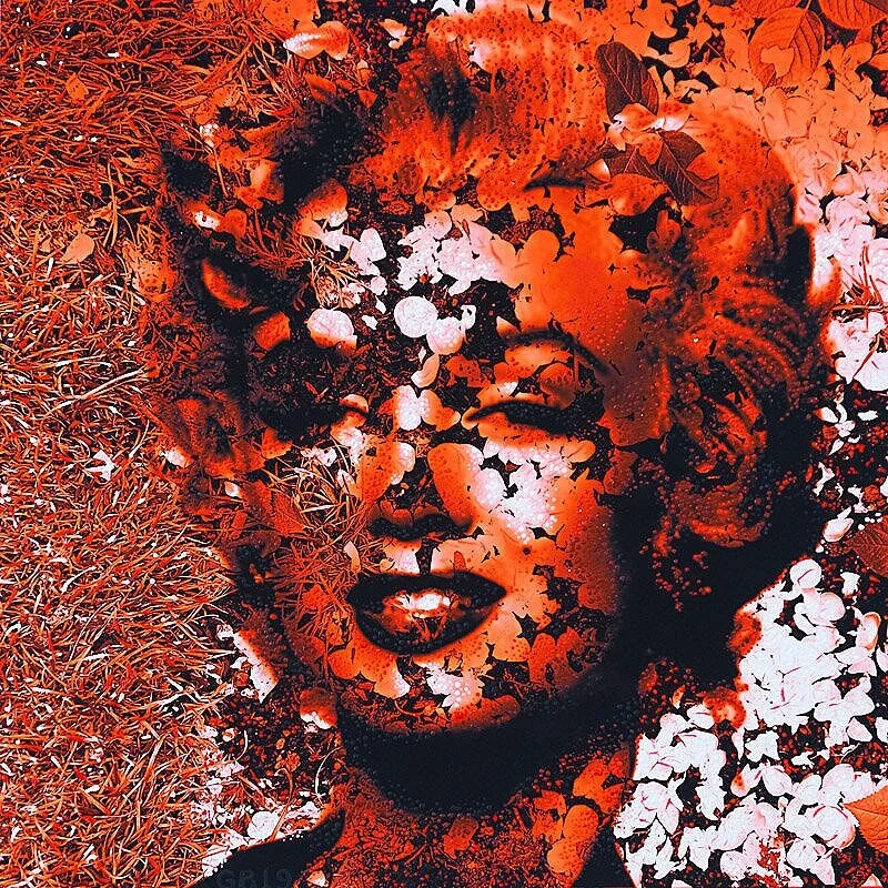 Homage to Andy 2 (August 2019)