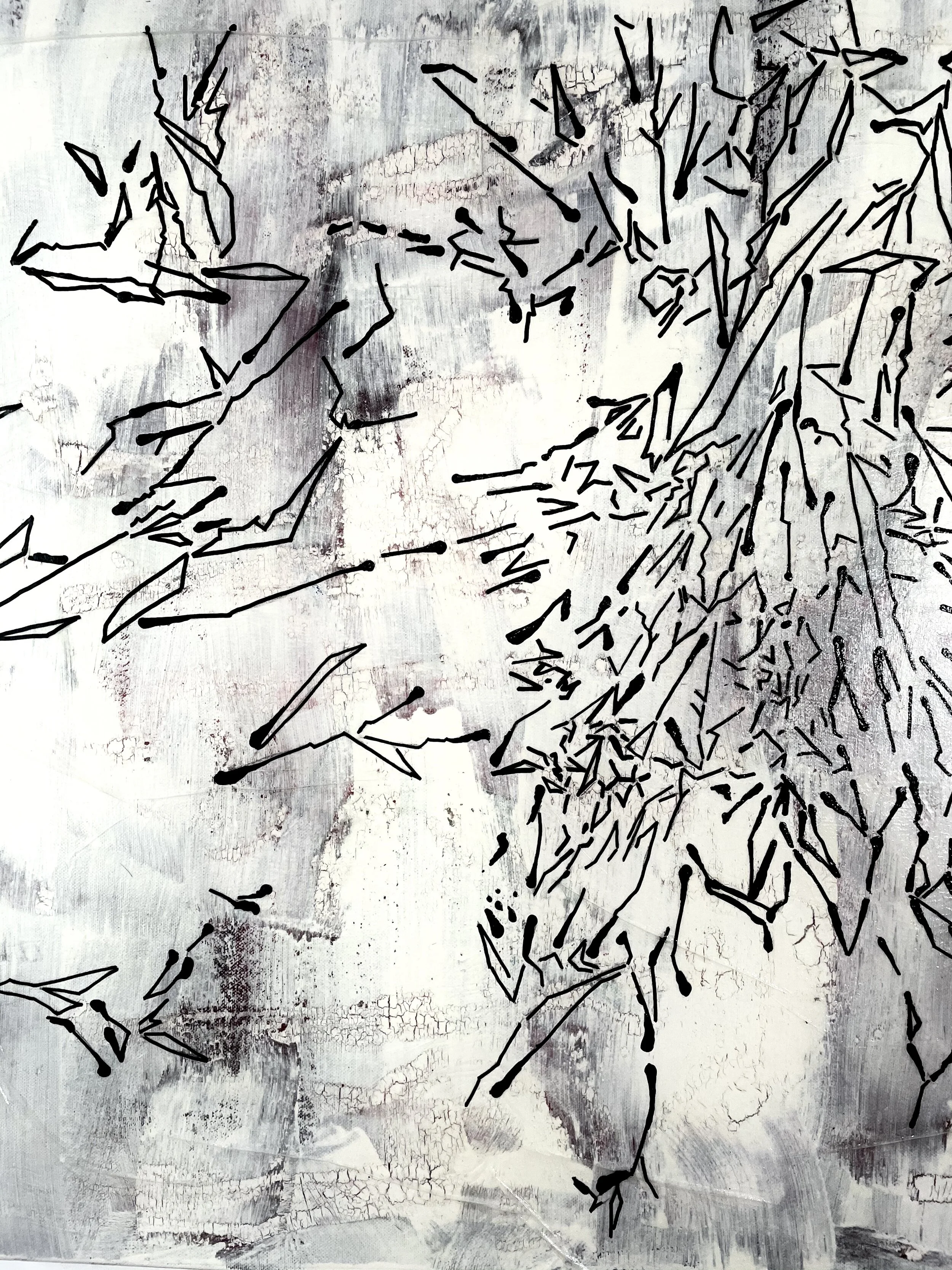 Shapes and Lines (November 2020)