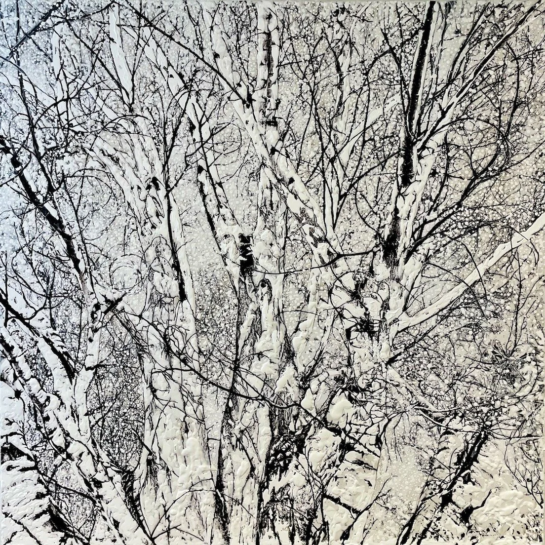 Birch Trees in The Snow, High Atlas Mountains, Morocco (June 2025) (SOLD)