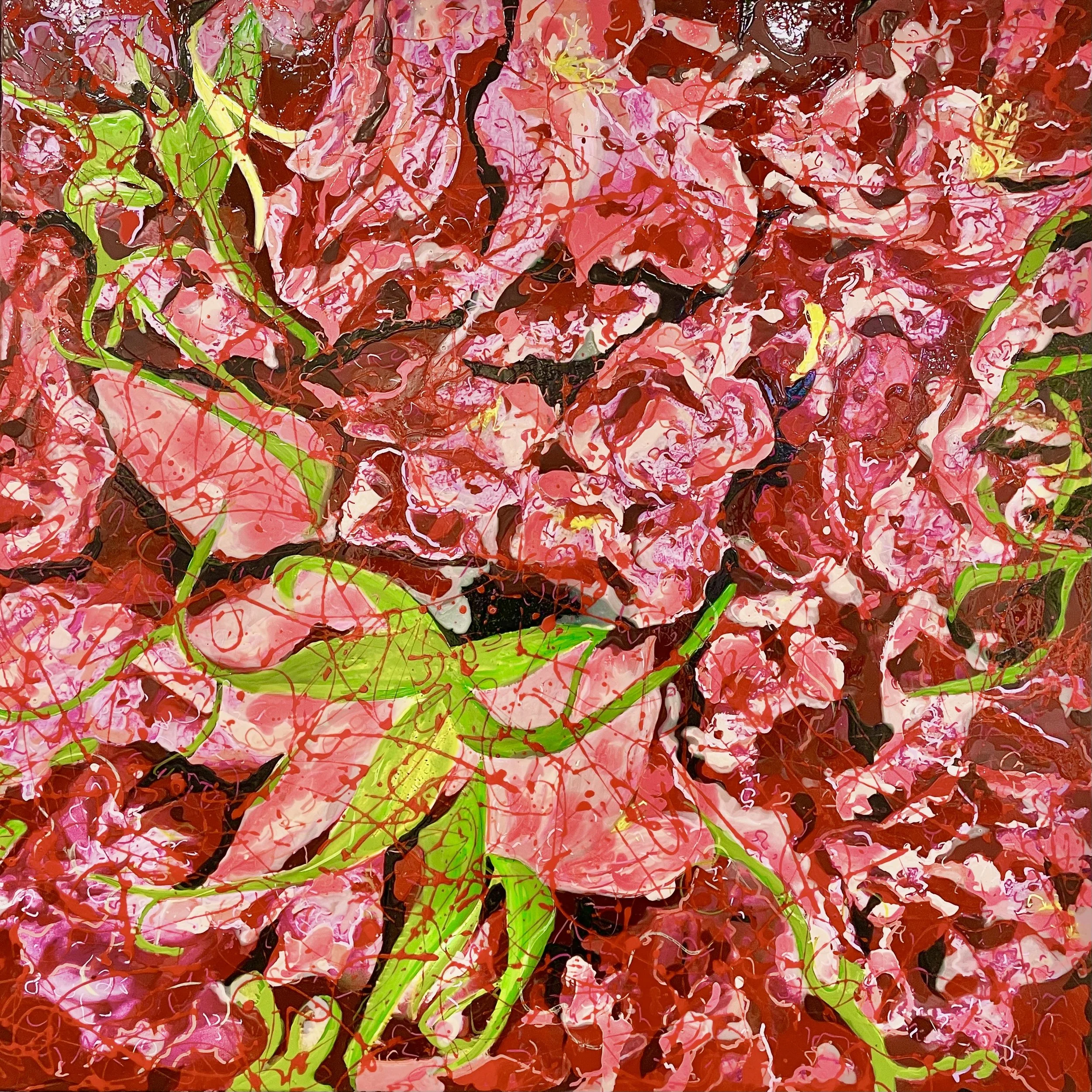 Valley of the Roses, Kalaat M'Gouna, Morocco (September 2025)