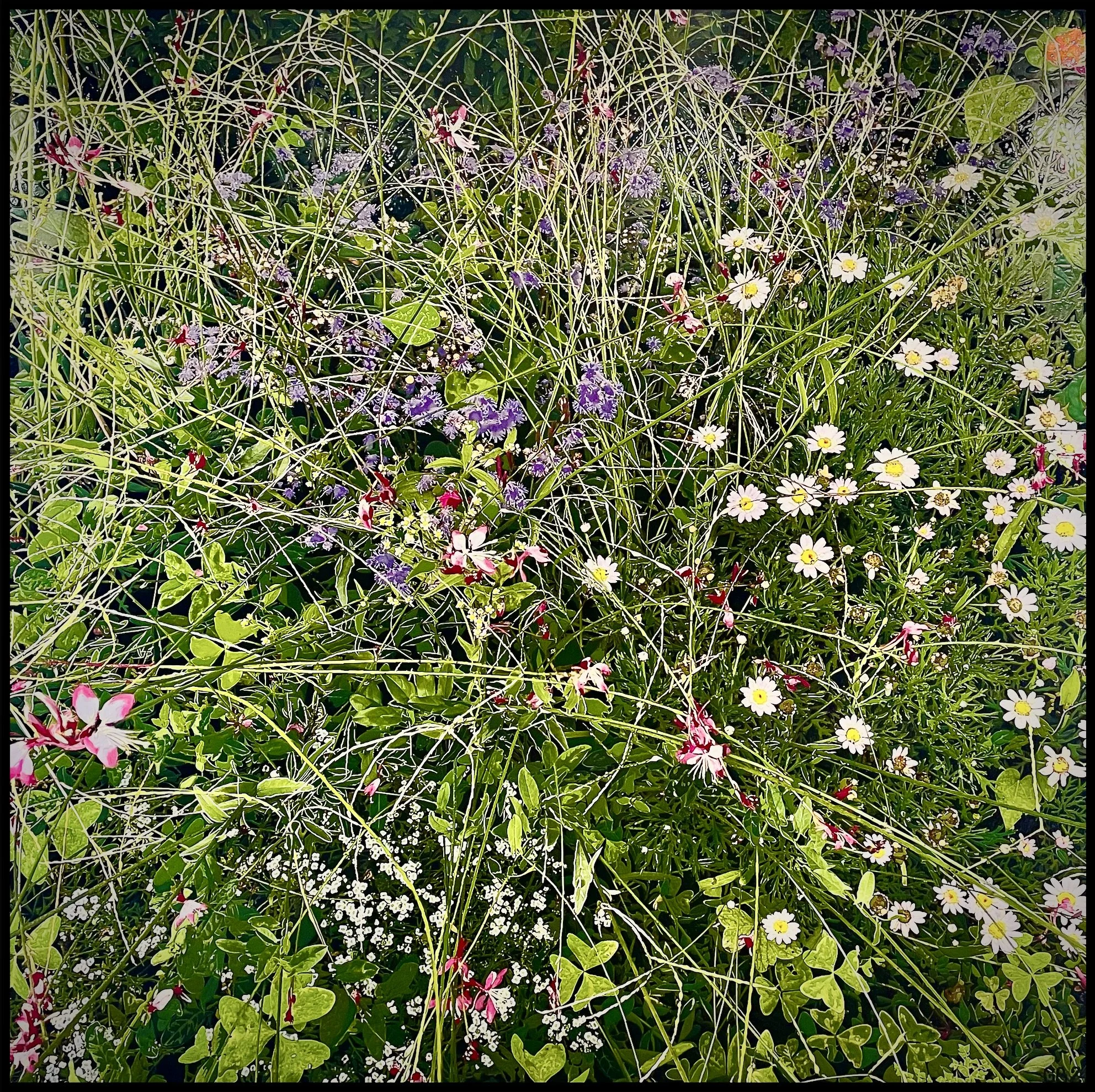 Jardin des Plantes. Paris 