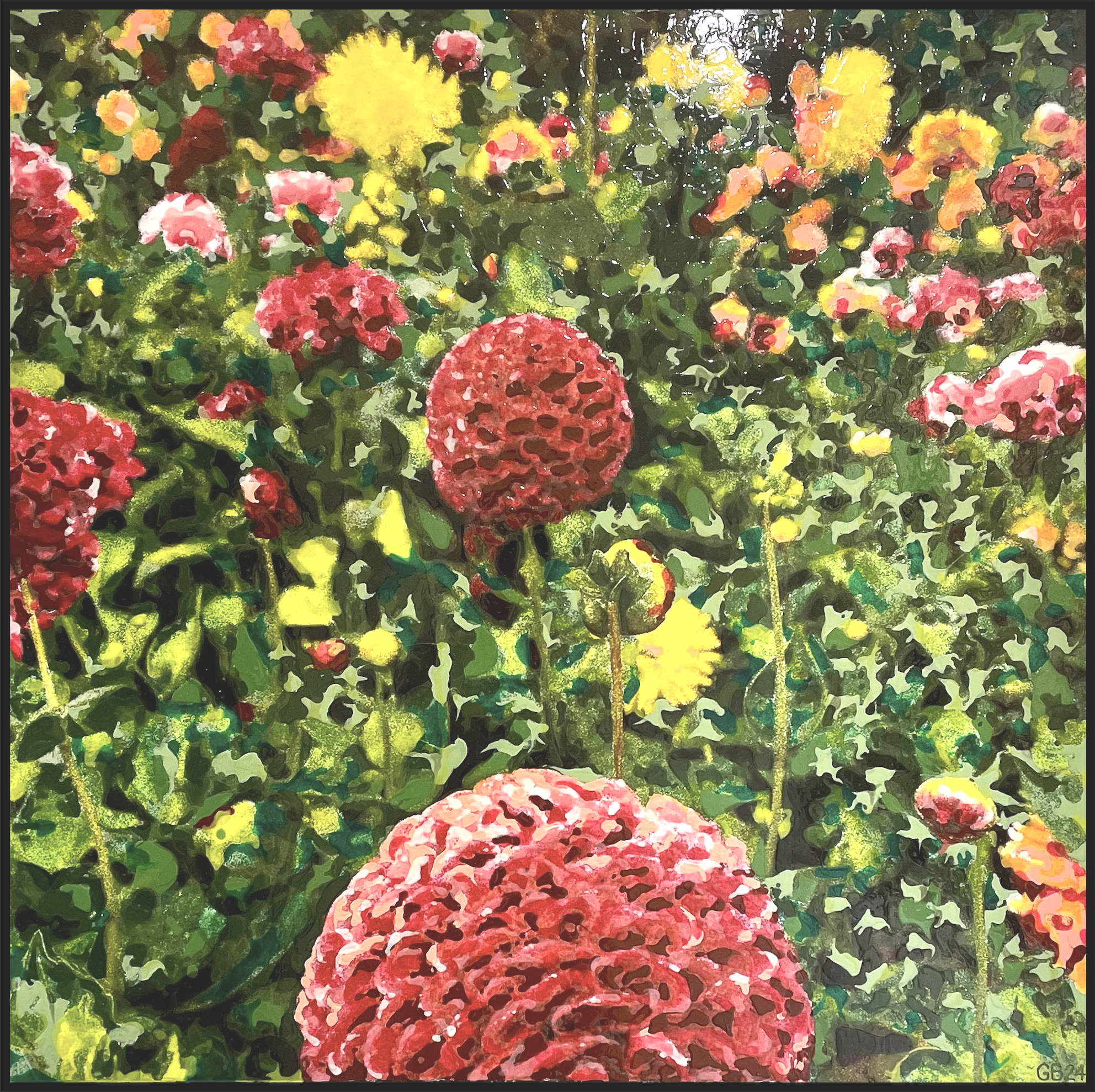 Dahlias 2, San Francisco (March 2024)