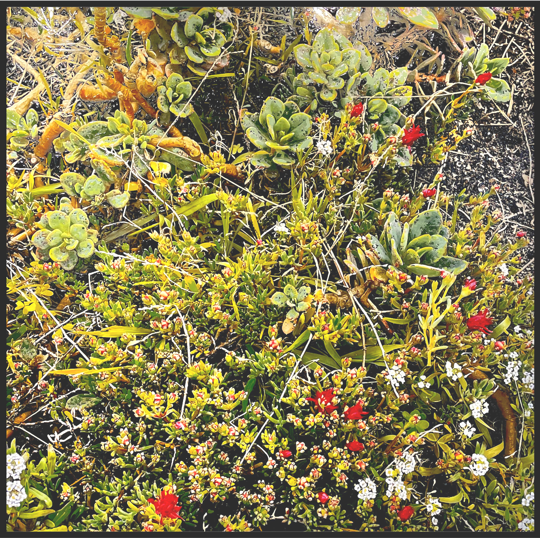 Great Highway, Ocean Beach (SF)