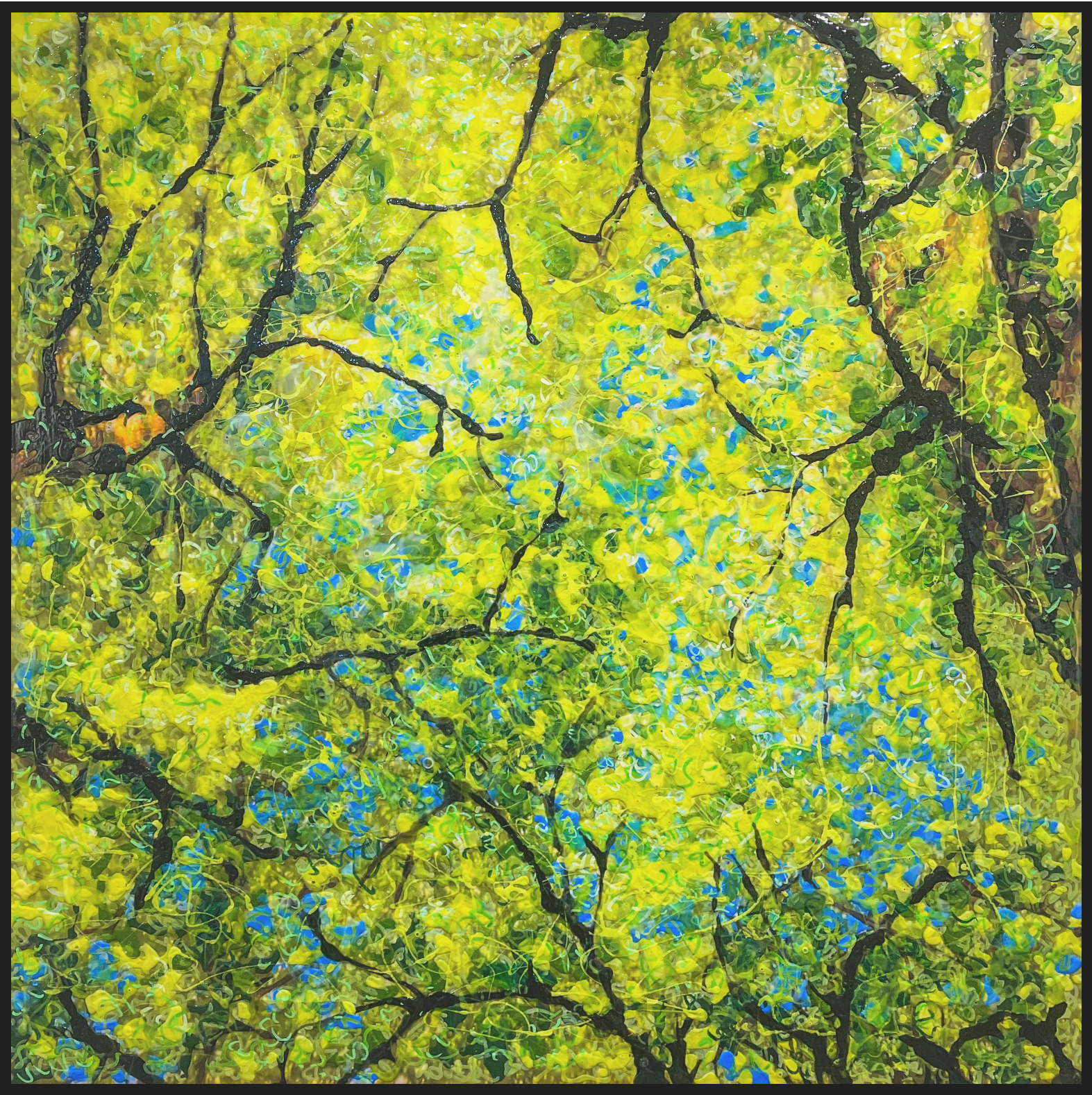 Oak Trees, New Orleans. (January 2025)