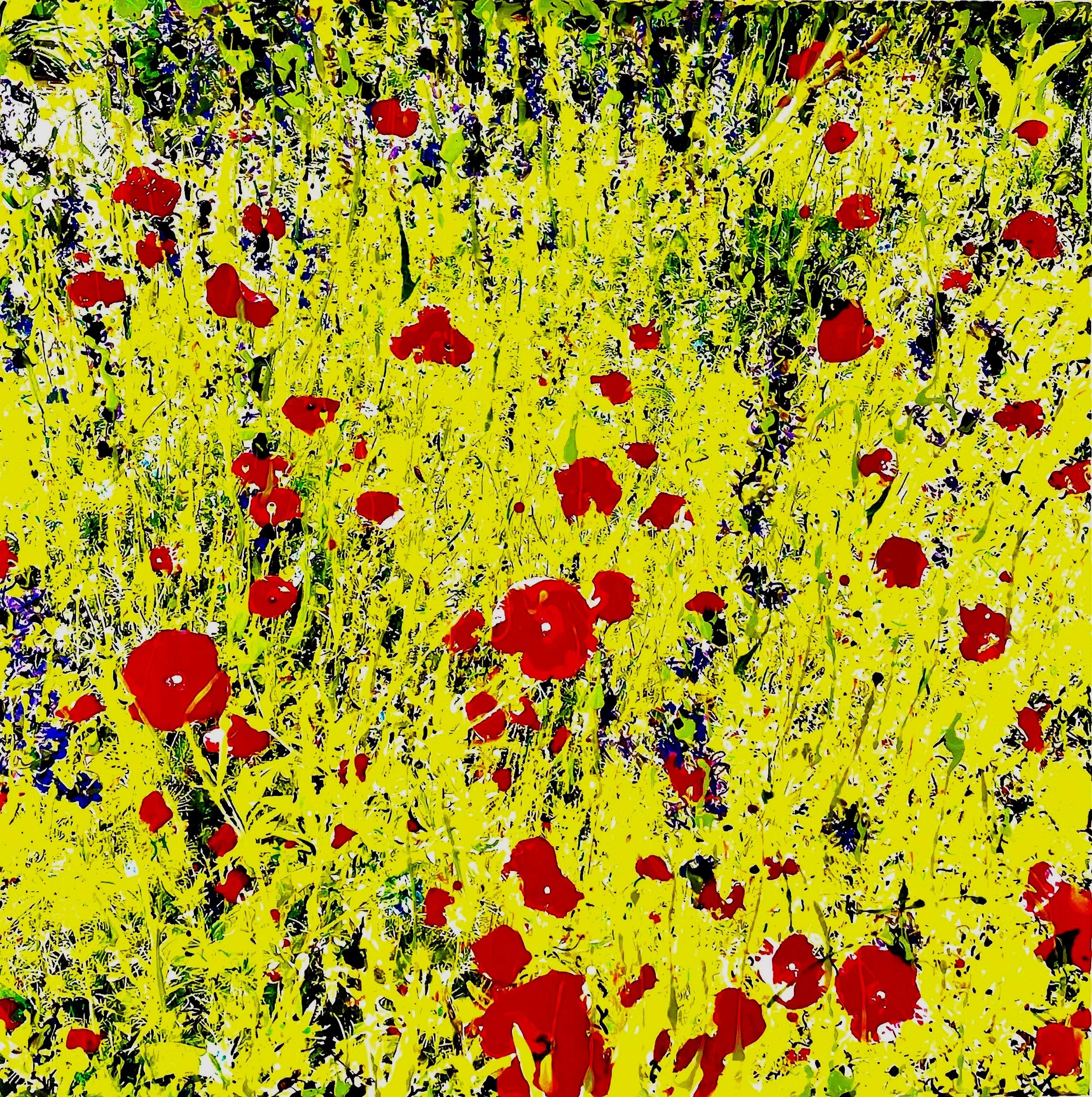 Casa Cuseni Garden, Taormina Sicily (March 2025)