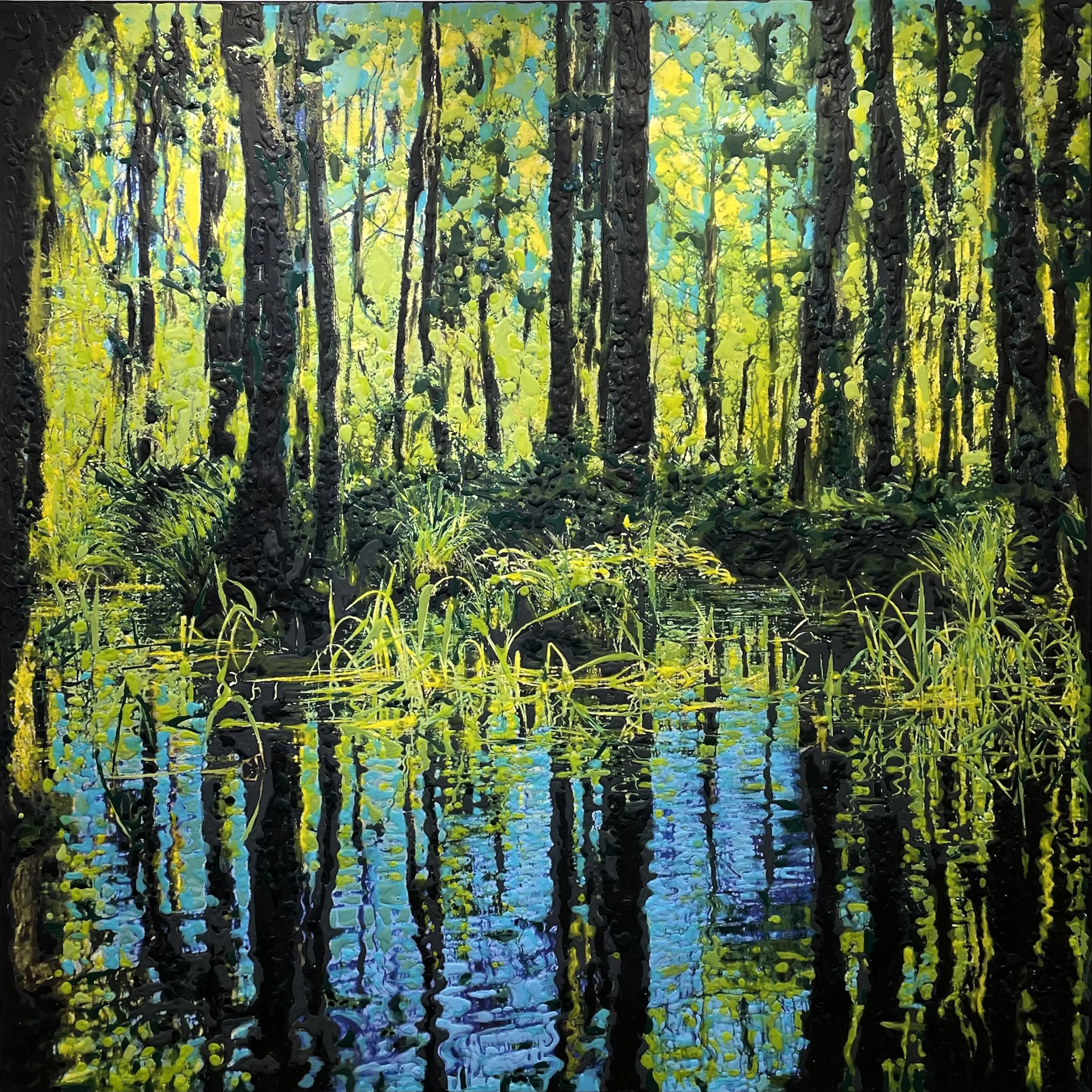 Honey Island Swamp, New Orleans (January 2026)