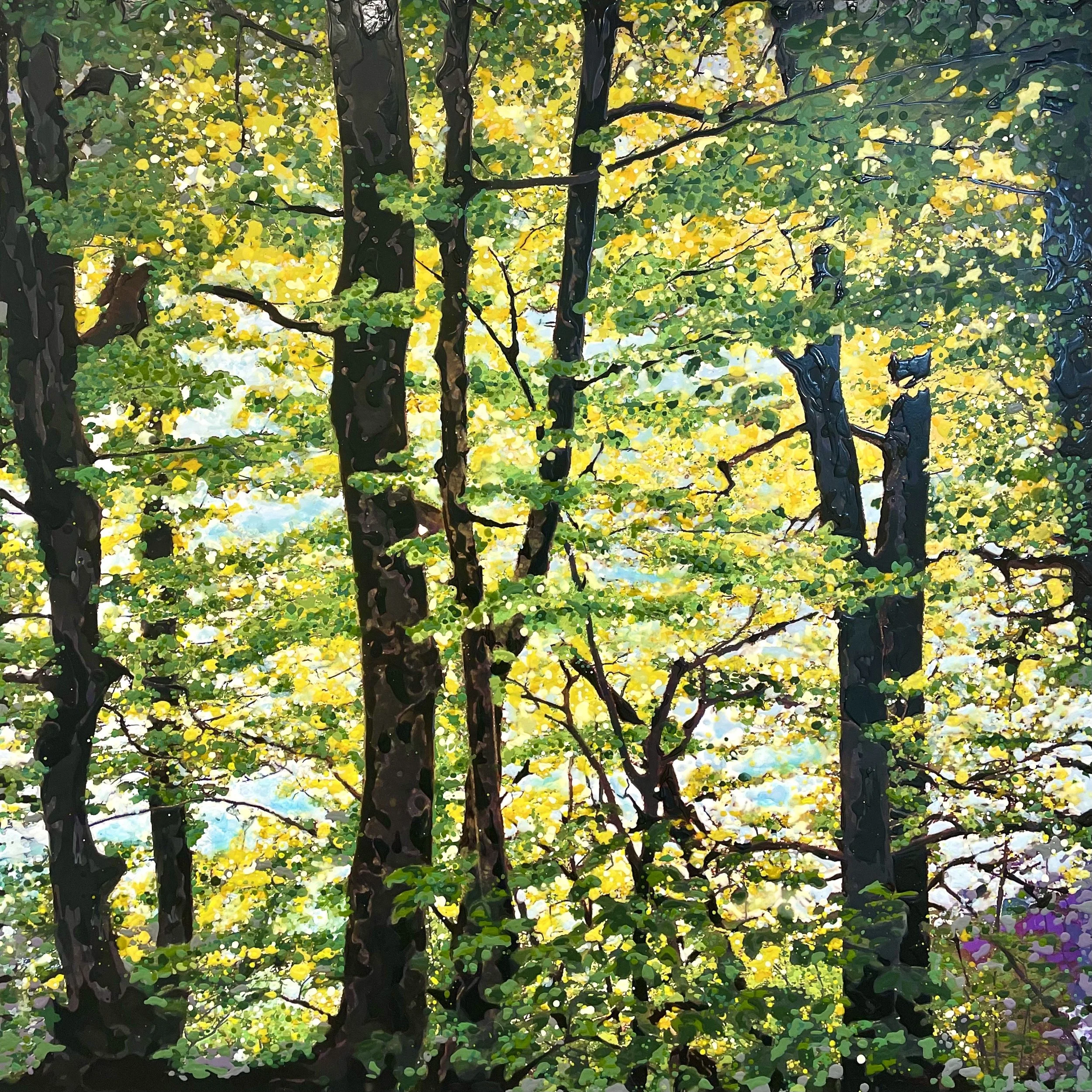 Plitvice Lakes National Park, Croatia (January 2026)