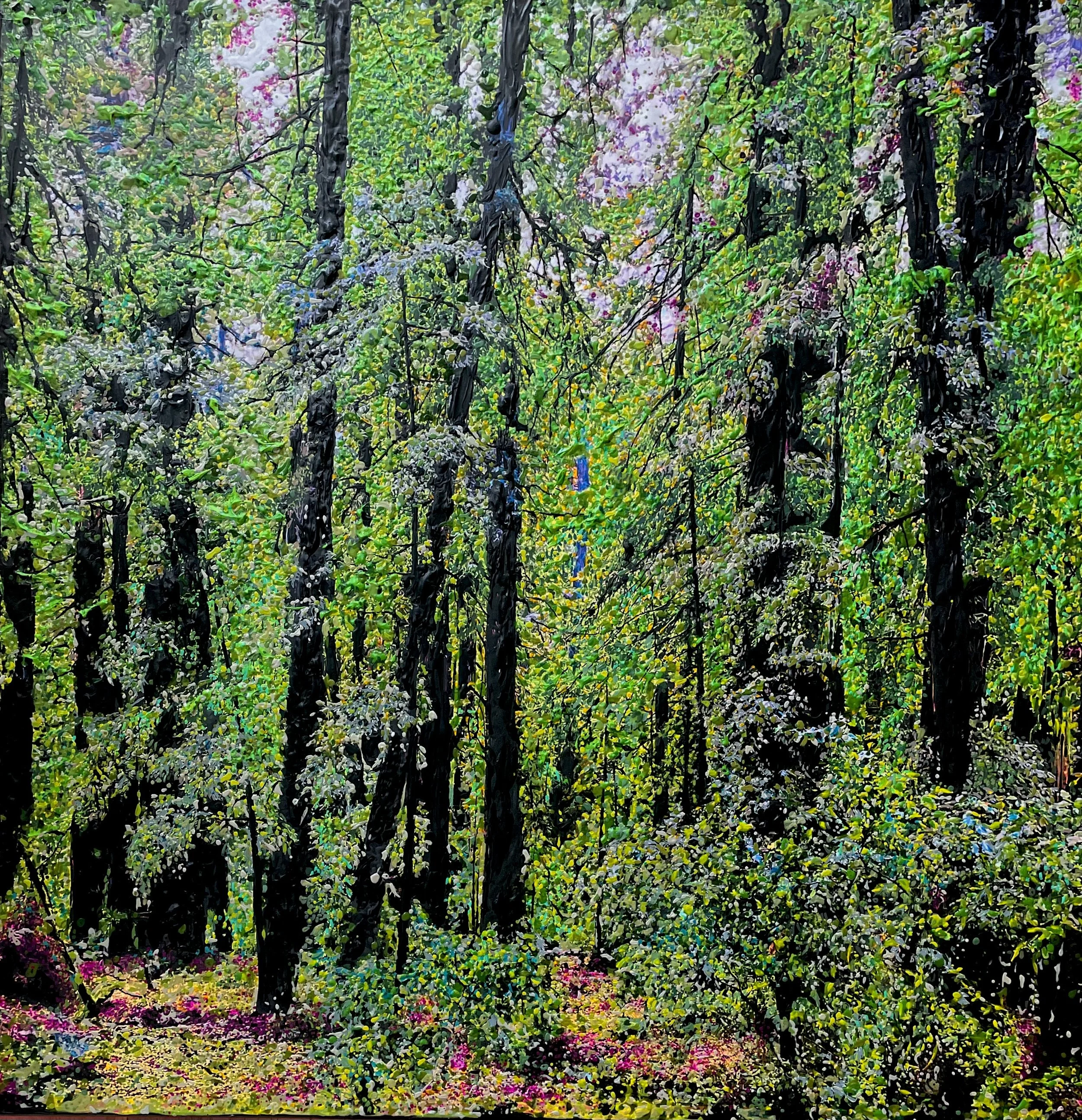 Armstrong Redwood State Natural Reserve, Guerneville, CA (June 2026)