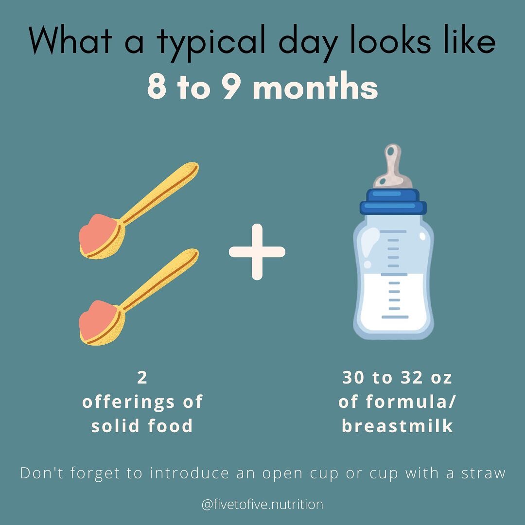 Baby is starting to get the hang of solids at 8-9 months although breastmilk and/or formula remain as the primary nutrient source. ⁠
⁠
Increase from 1 to 2 ➡️➡️ 2 consistent meal offerings per day⁠.⁠
⁠
Continue to offer small amounts of breastmilk, f