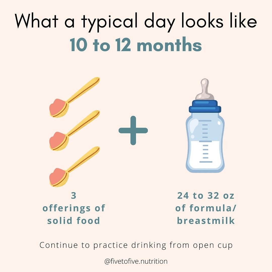 At 10-12 months increase solid offering from 2 ➡️ 3 eating opportunities per day.⁠
⁠
Dont forget to keep up cup-drinking skill practice!⁠
⁠
If baby is doing well with solids can consider dropping a bottle or breastfeed in your feeding schedule. Pleas