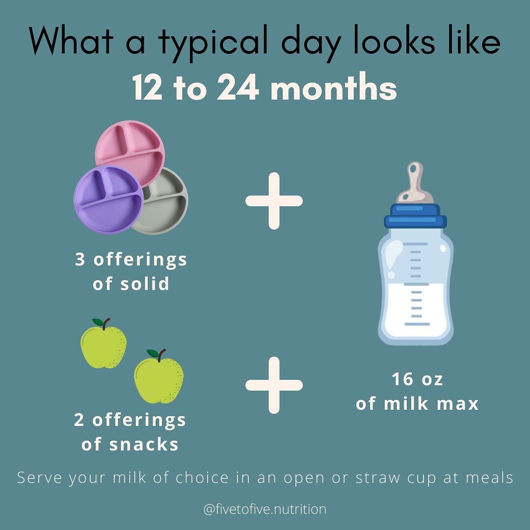 At this point, solid food becomes the primary source of nutrition. ⁠
⁠
Baby should be eating three meals of solid foods each day, along with 2 snacks between meals.⁠
⁠
Baby should be getting 16 oz MAX of your milk of choice (cows milk, non-dairy alte