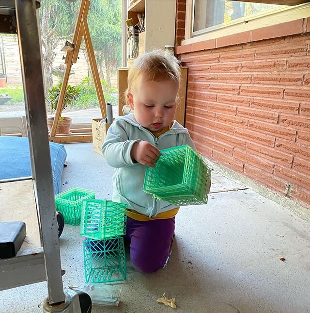 Amelie living the Studio Life! By now those strawberry crates have to be vintage. 
#studio #pdxarchitecture #strawberrycrates #portlandarchitect #midcenturymodern