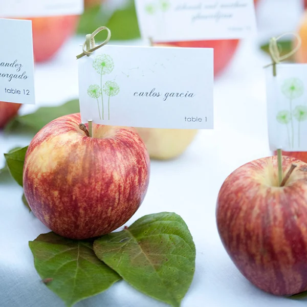 Aurelia D’Amore Photography
