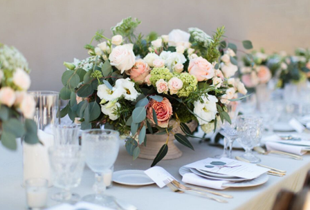 Aurelia D’Amore Photography