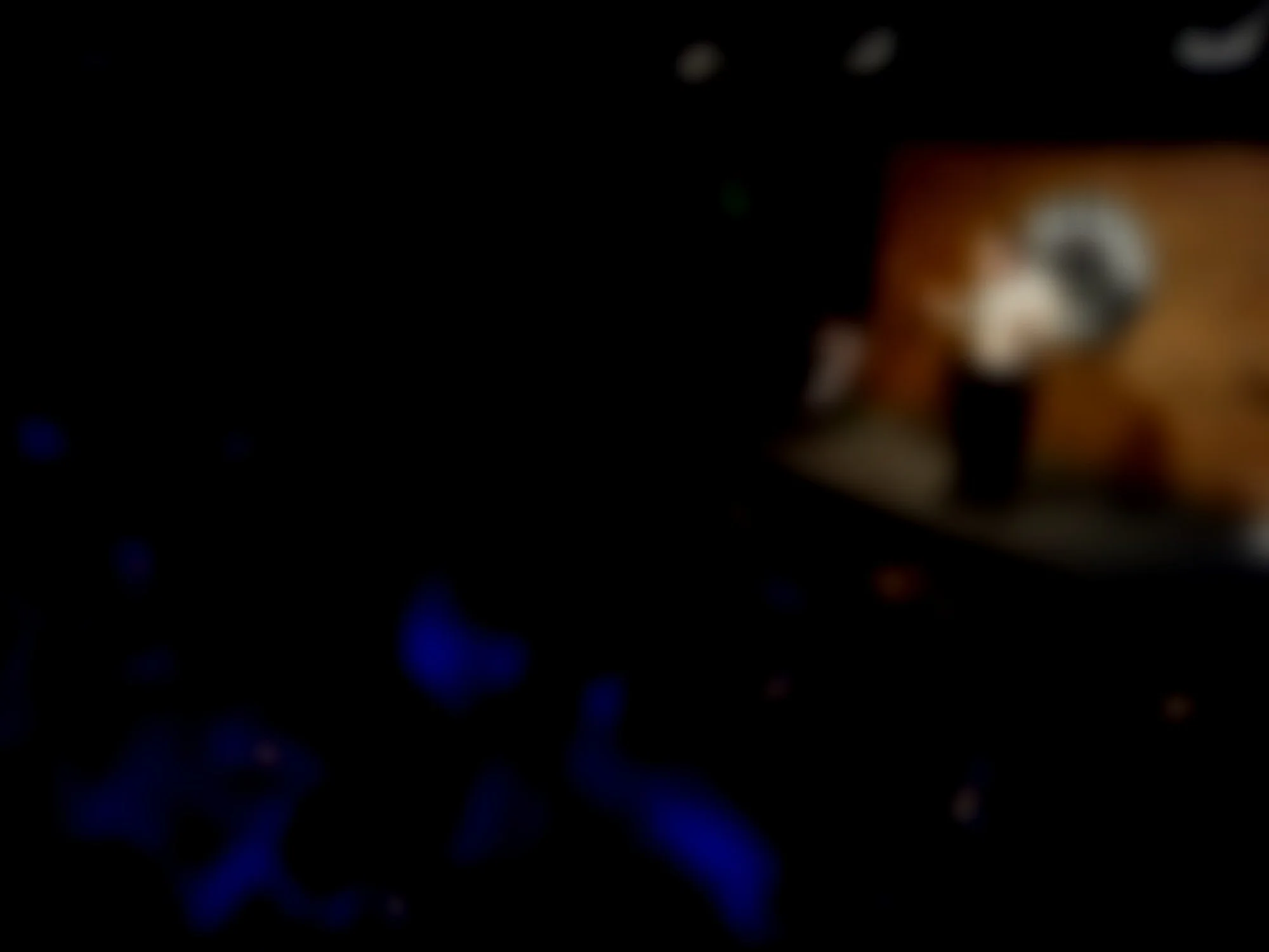 WhatsApp Image 2024-12-16 at 14.12.41_9f6f7070.jpg