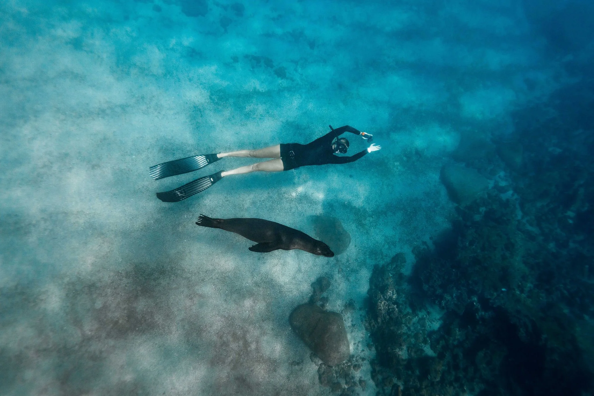 Diver in cave