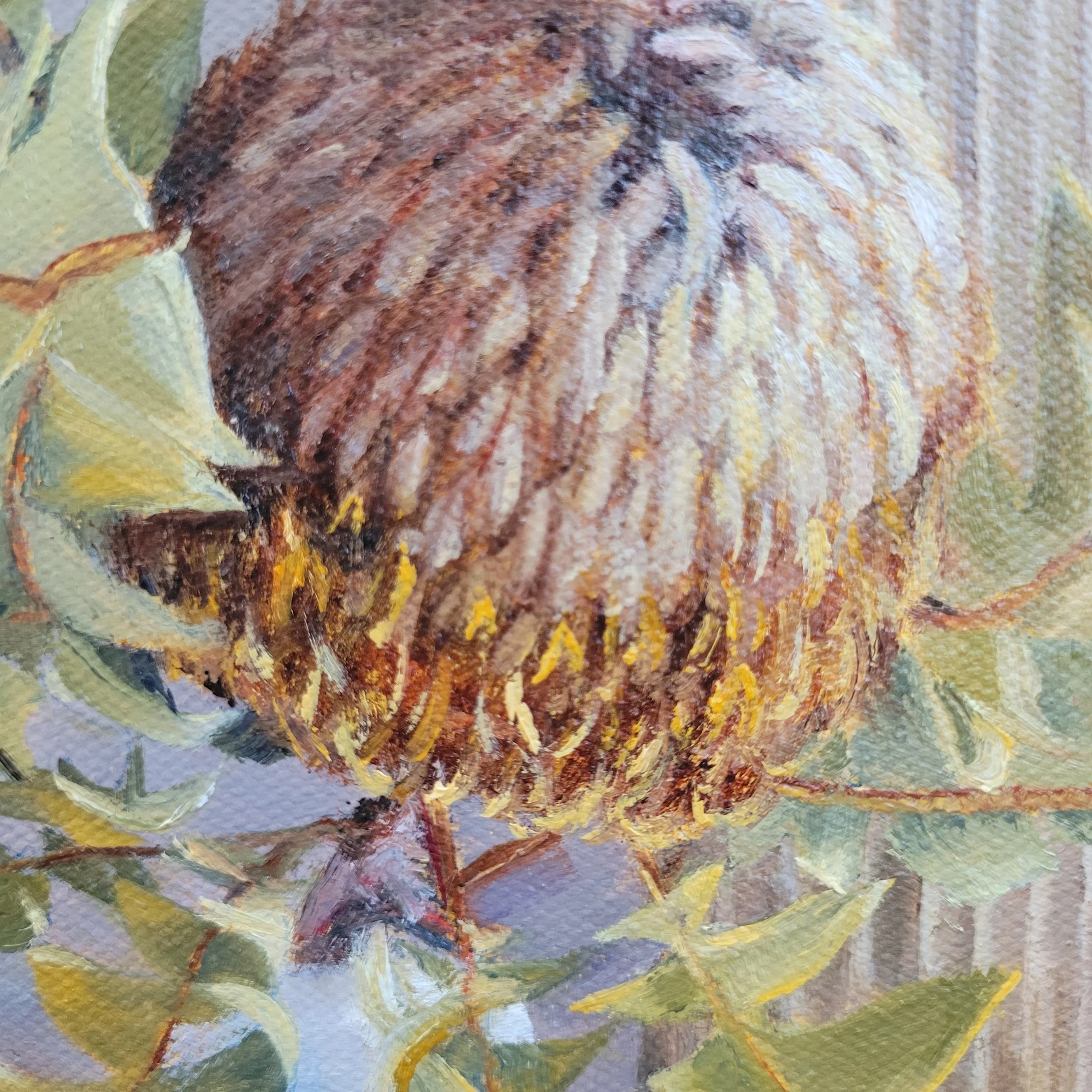 What My Eyes Will See 3.jpg