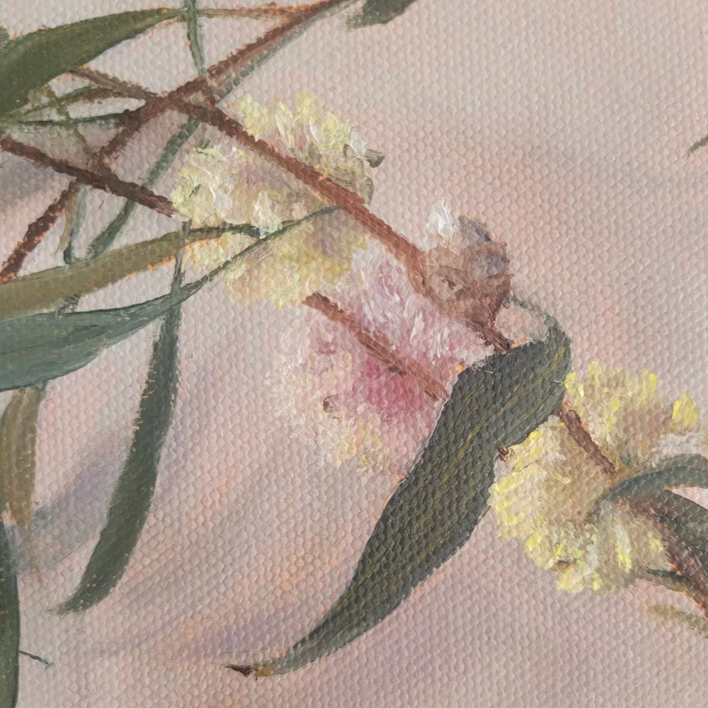 Details of the Hakea Pin Cushion flowers