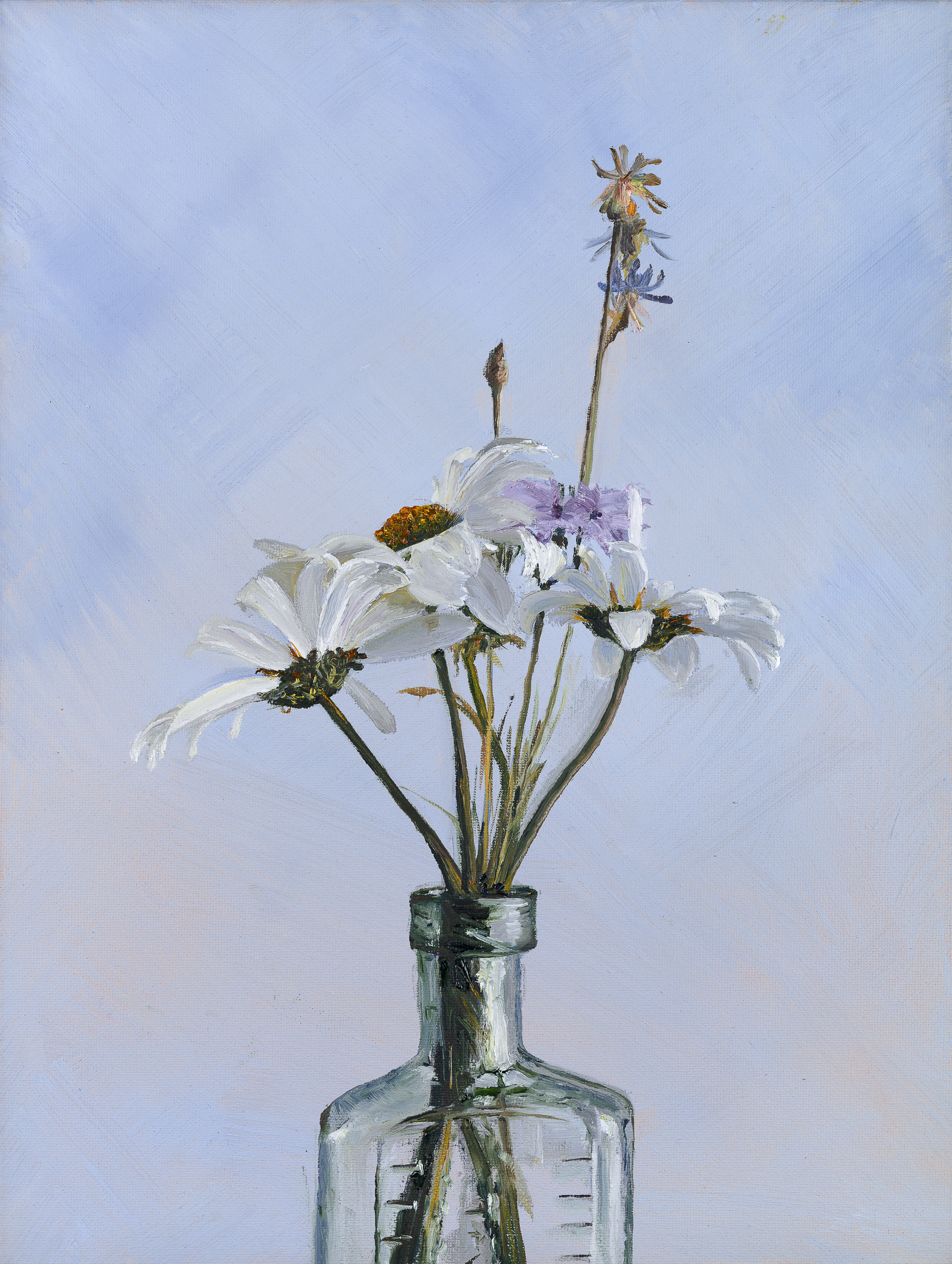 Heidi Mullender_Daisies and linen_2018_oil on canvas - 10 by 14in.jpg