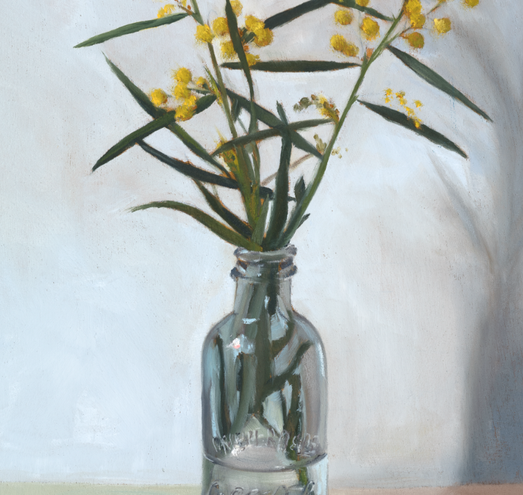 Fuzzy Wattle close up.PNG