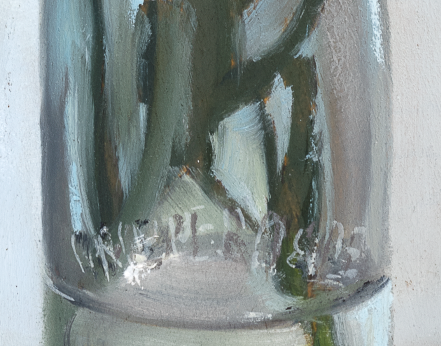 Fuzzy wattle close up 3.PNG