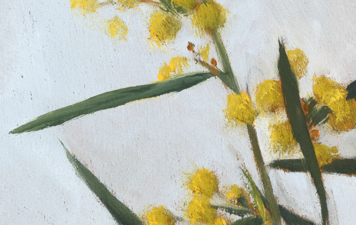 Fuzzy wattle close up 2.PNG