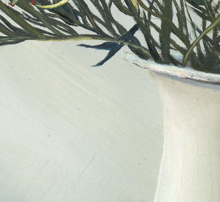 grevillea close up 2.PNG