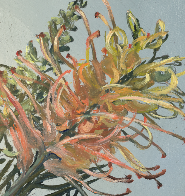 Grevillea close up.PNG