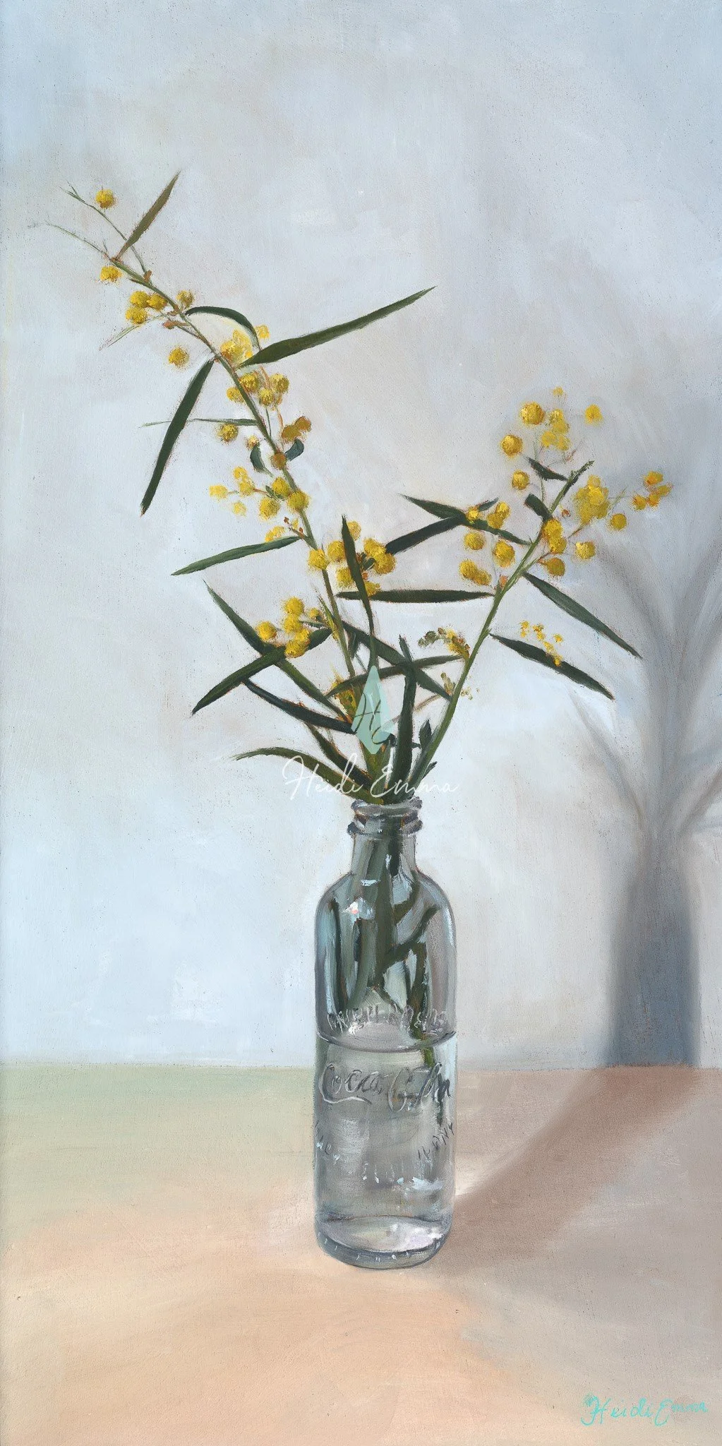 Fuzzy wattle with watermark.jpg