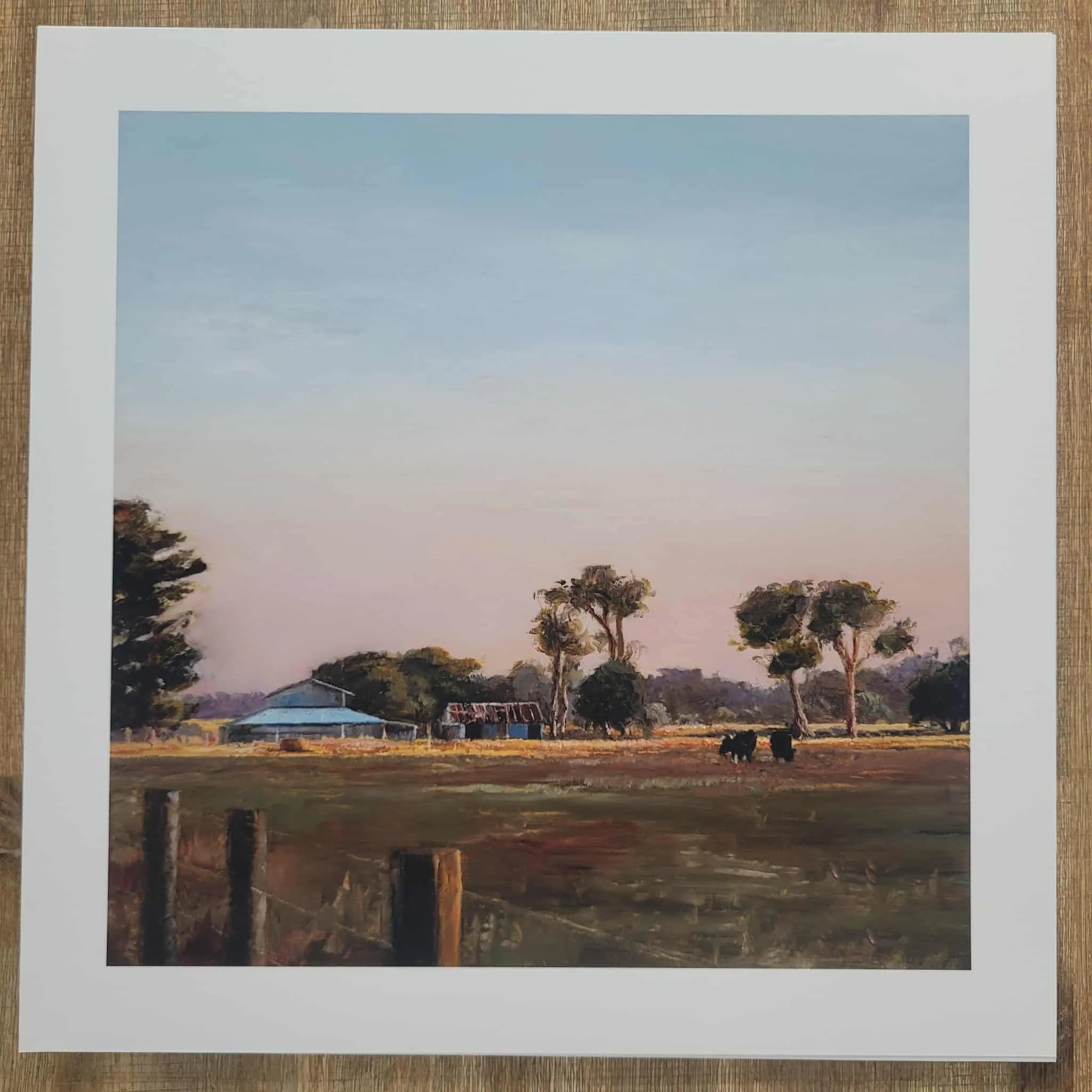 f20c3d95-8d2c-4422-a9be-291175adf2b6 (1).jpg