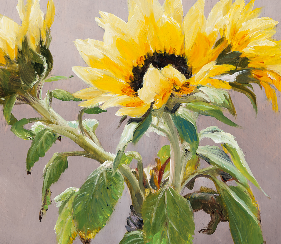close up detail of sunflower petals in light.webp