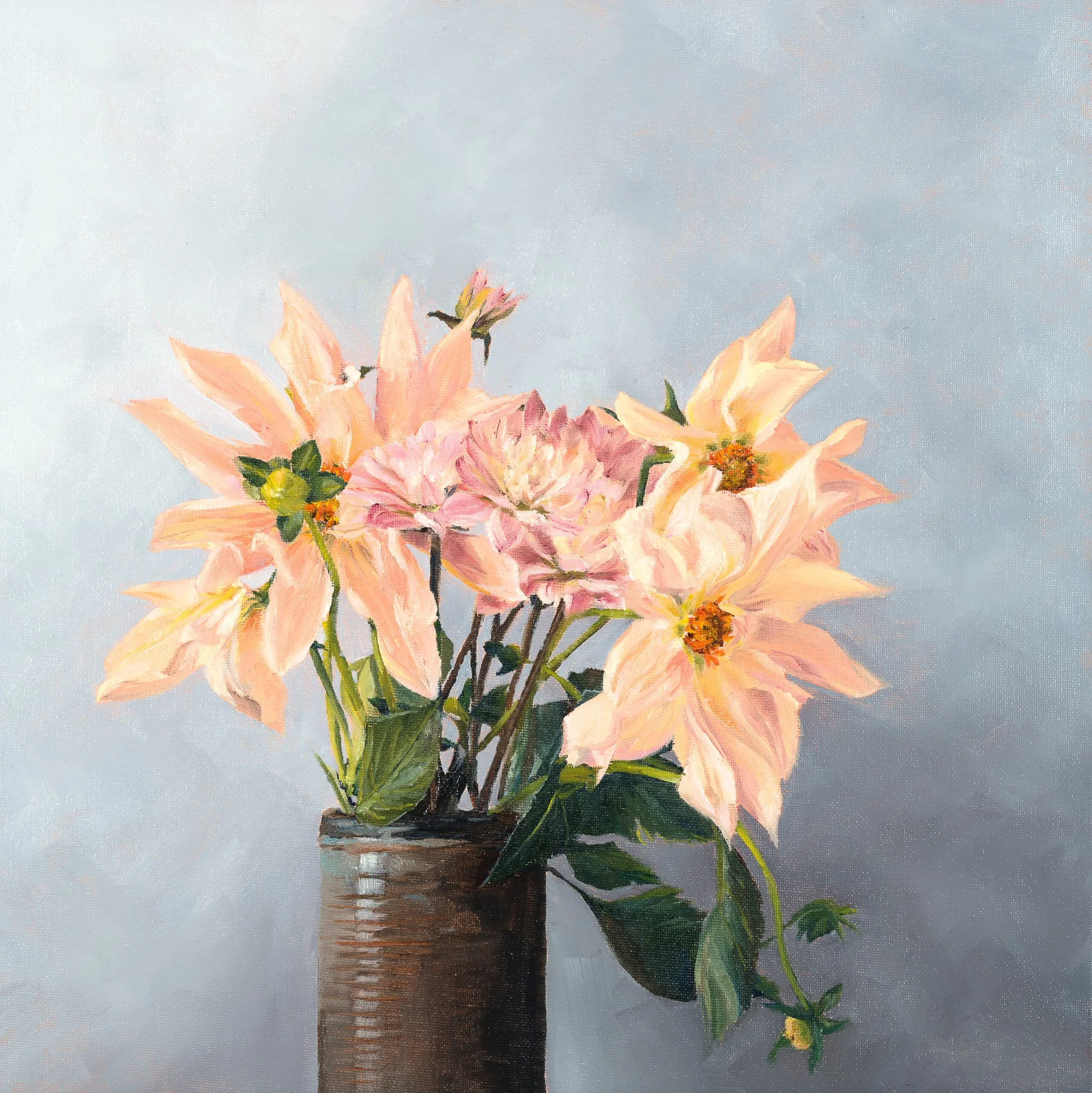Dahlias on Grey features Dahlias in a beautiful ceramic vase and grey background that makes the soft pink and apricot blooms pop