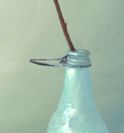 gum blossom detail 2.PNG