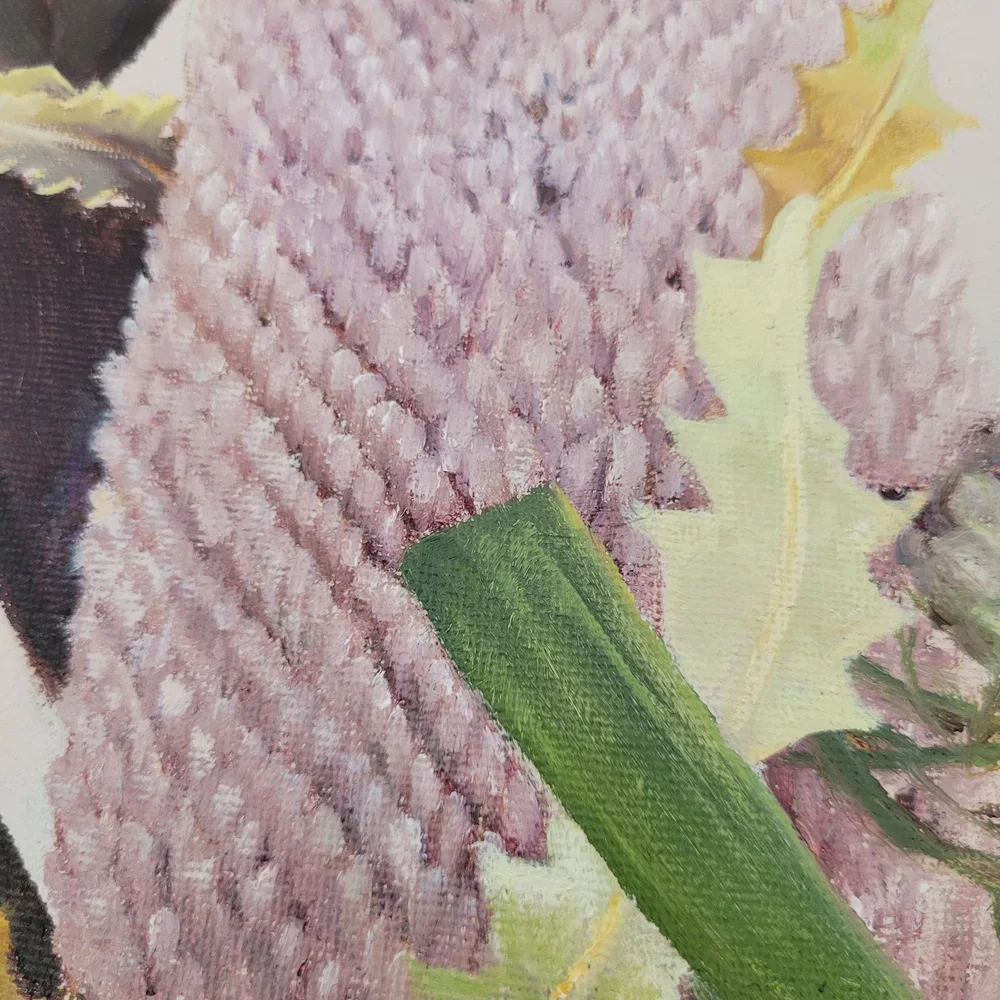 Close up detail of the pink banksia pattern in New Perspective.webp