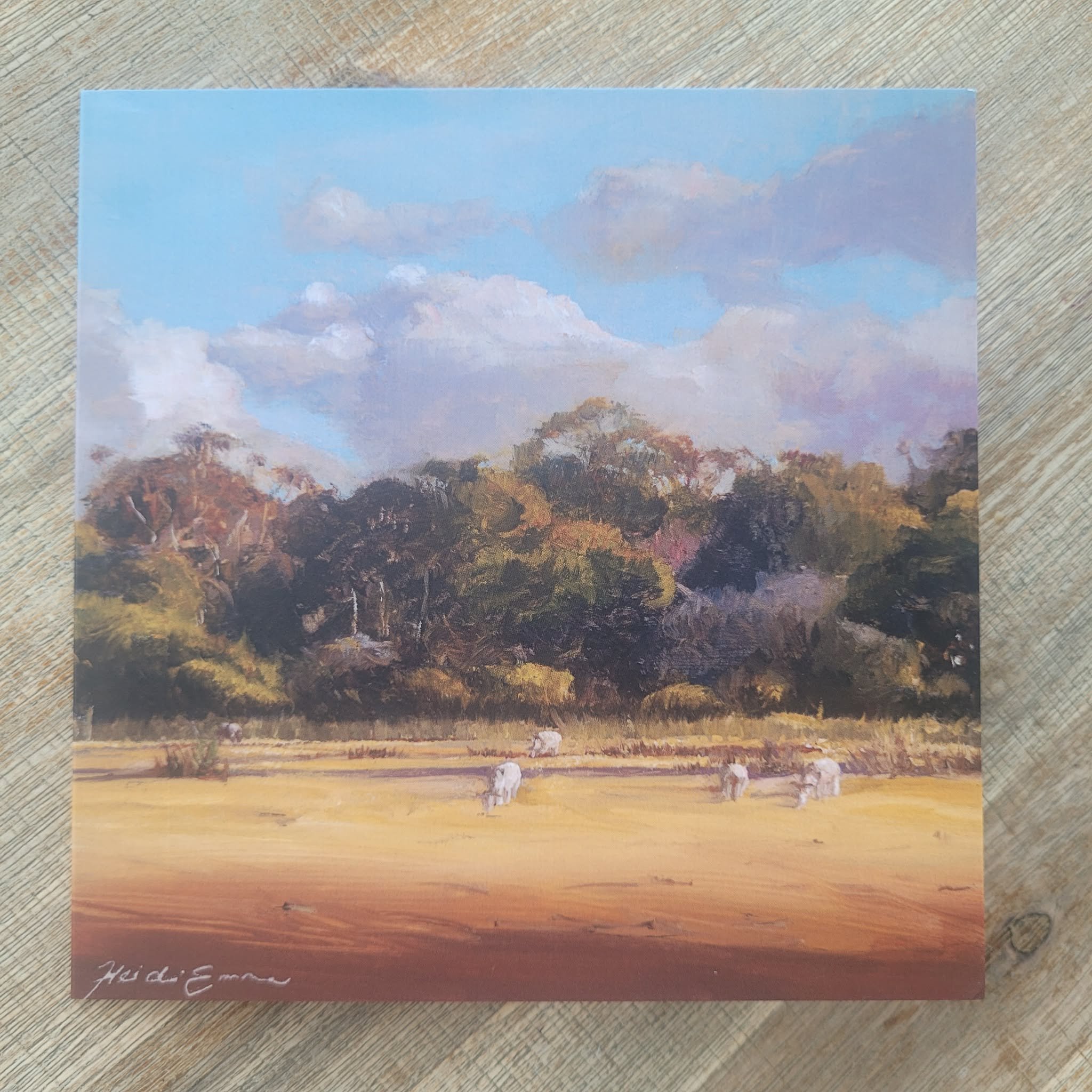art-greeting-card-heidi-emma-western-australia-sheep-in-pasture