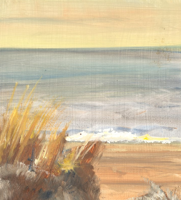 close up details of the ocean beyond the dunes.png