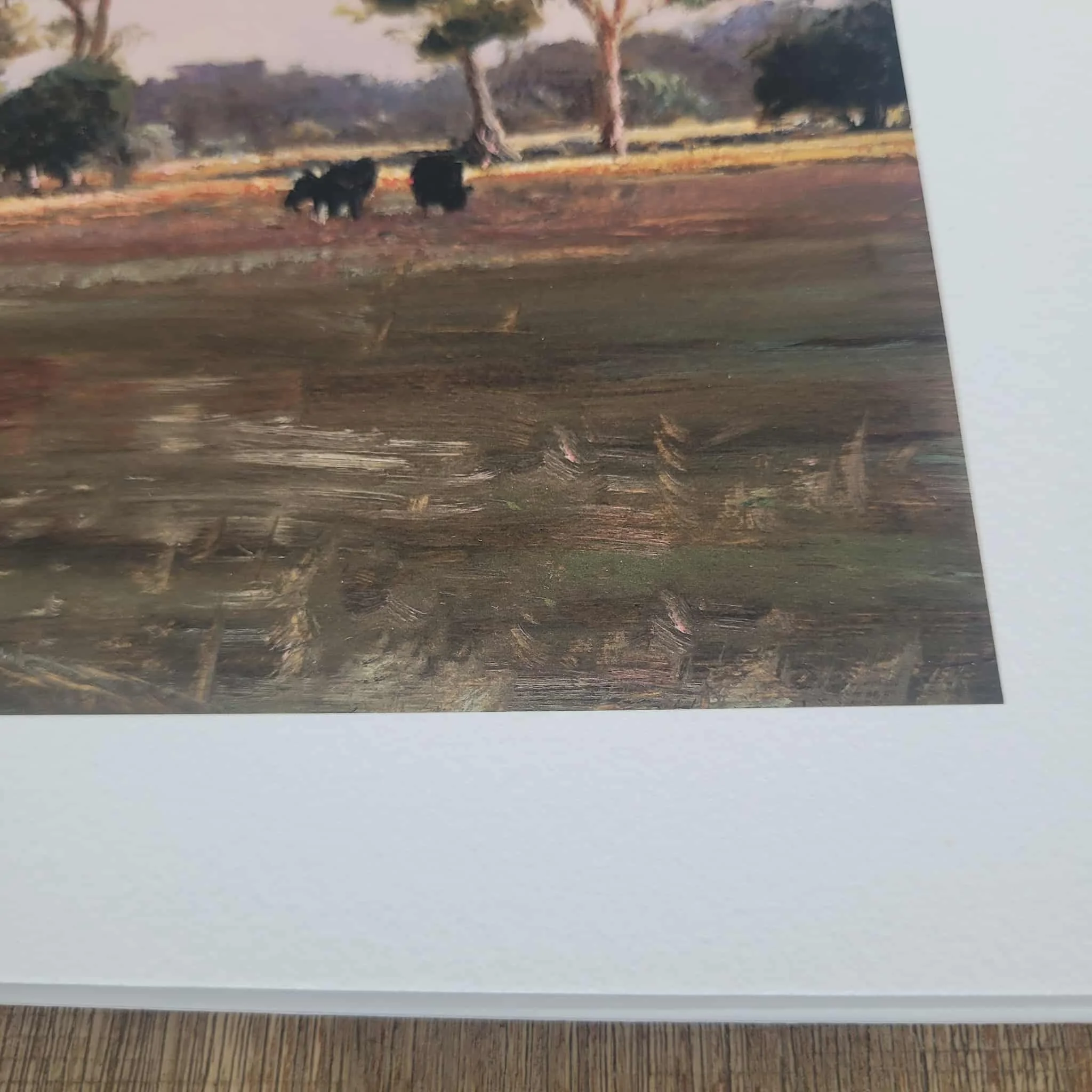 470d0b03-af34-4d51-b85b-4a707d812b43 (1).jpg